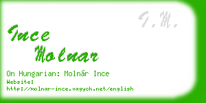 ince molnar business card